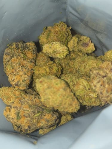 Customer photo review of Lemon Cherry Sherb THCA Flower