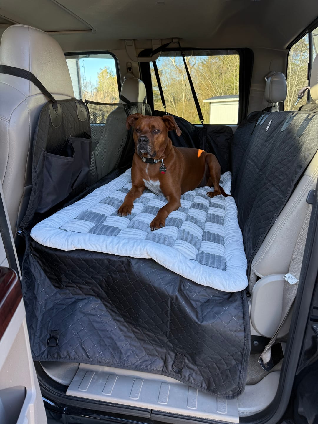 Customer photo review of Plush Backseat Dog Bed (Made For The Hard Bottom Car Seat Cover)