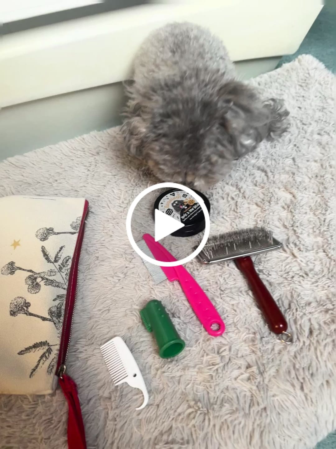 Customer video review of Oatmeal Nose & Paw Balm Pot for Dogs
