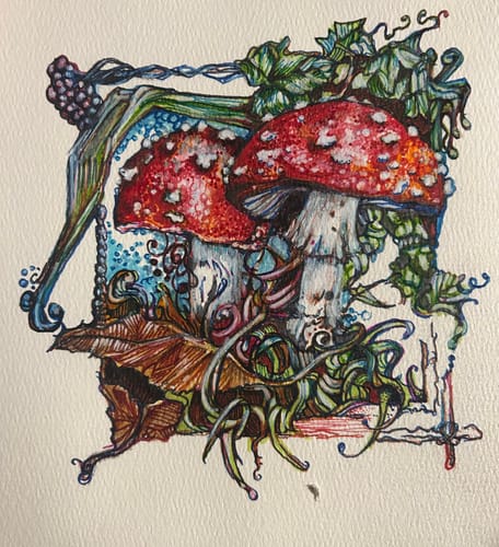 Customer photo review of 6x6 Giclee Fine Art Prints