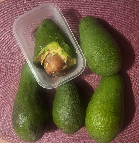 Kunde zeigt mehrere große Fuerte-Avocados und eine gegessene Avocado mit Kern auf einem Tisch.