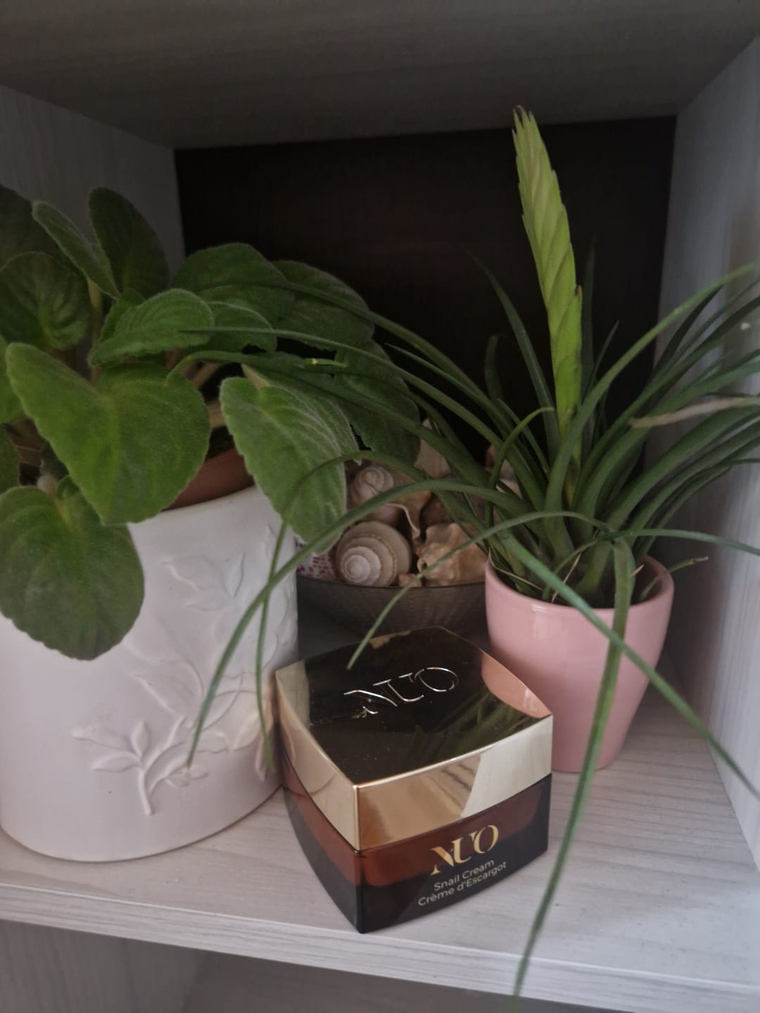 Customer photo review of Crema cu Mucina de Melc