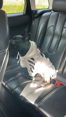 Customer photo review of Felpa "woof" Bianca Personalizzabile con nome