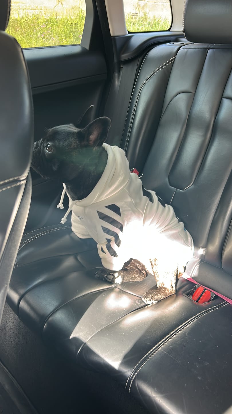 Customer photo review of Felpa "woof" Bianca Personalizzabile con nome