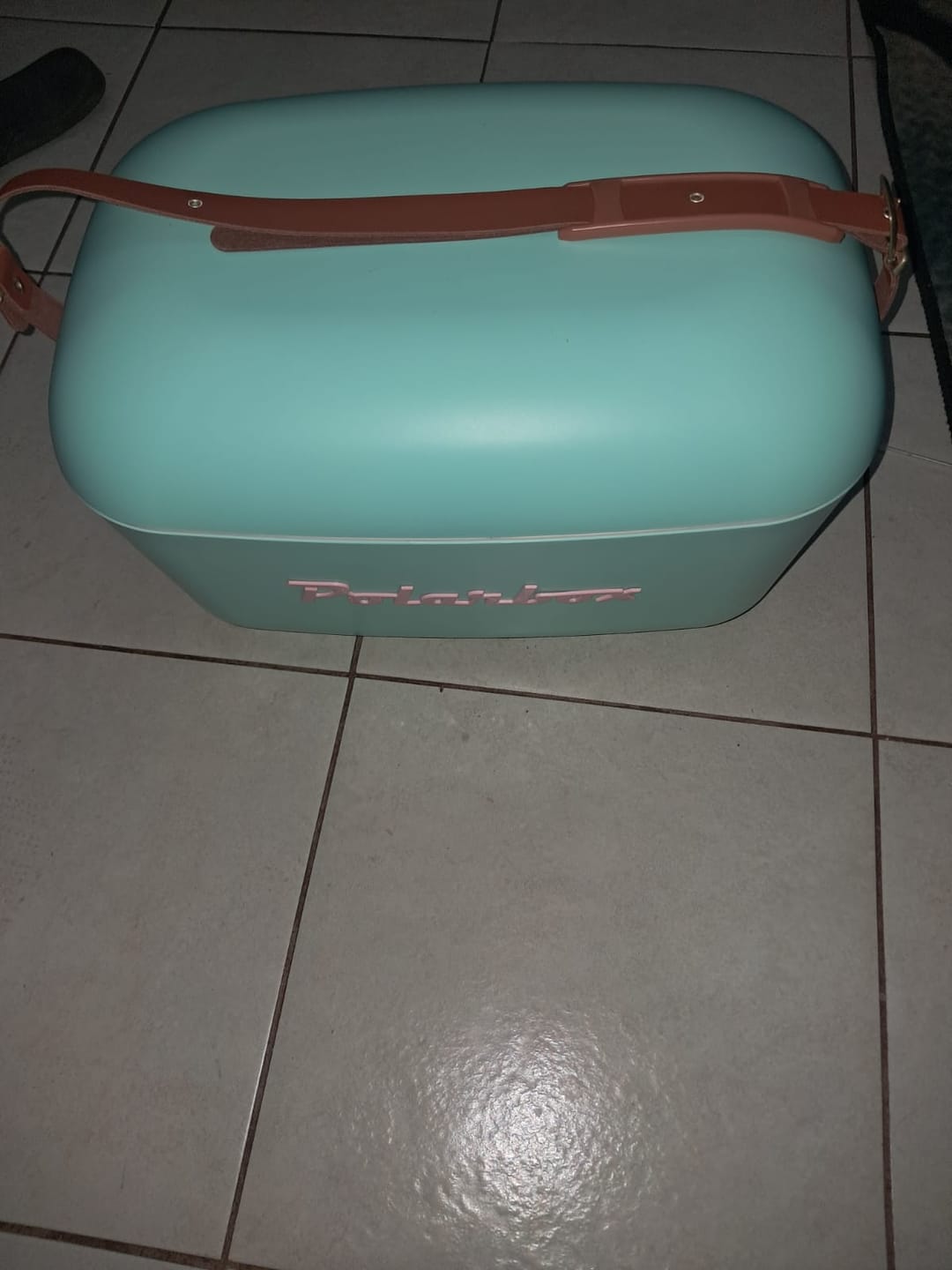 Customer photo review of Polarbox Retro Cooler Box 20L / 12L Cyan