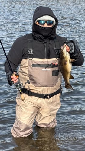 Customer photo review of Men’s Breathable Chest Waders Stocking Foot FW08