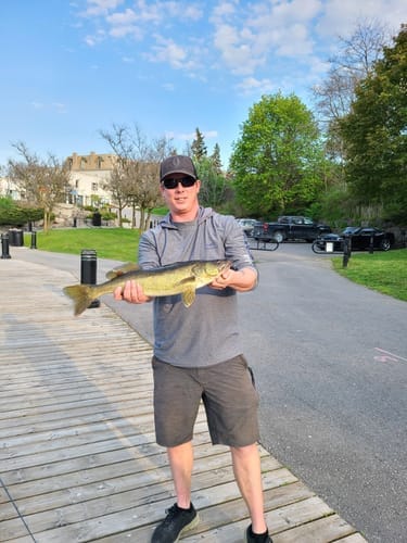 Customer photo review of Men's UPF 50+ Long Sleeve Fishing Shirt FS01M