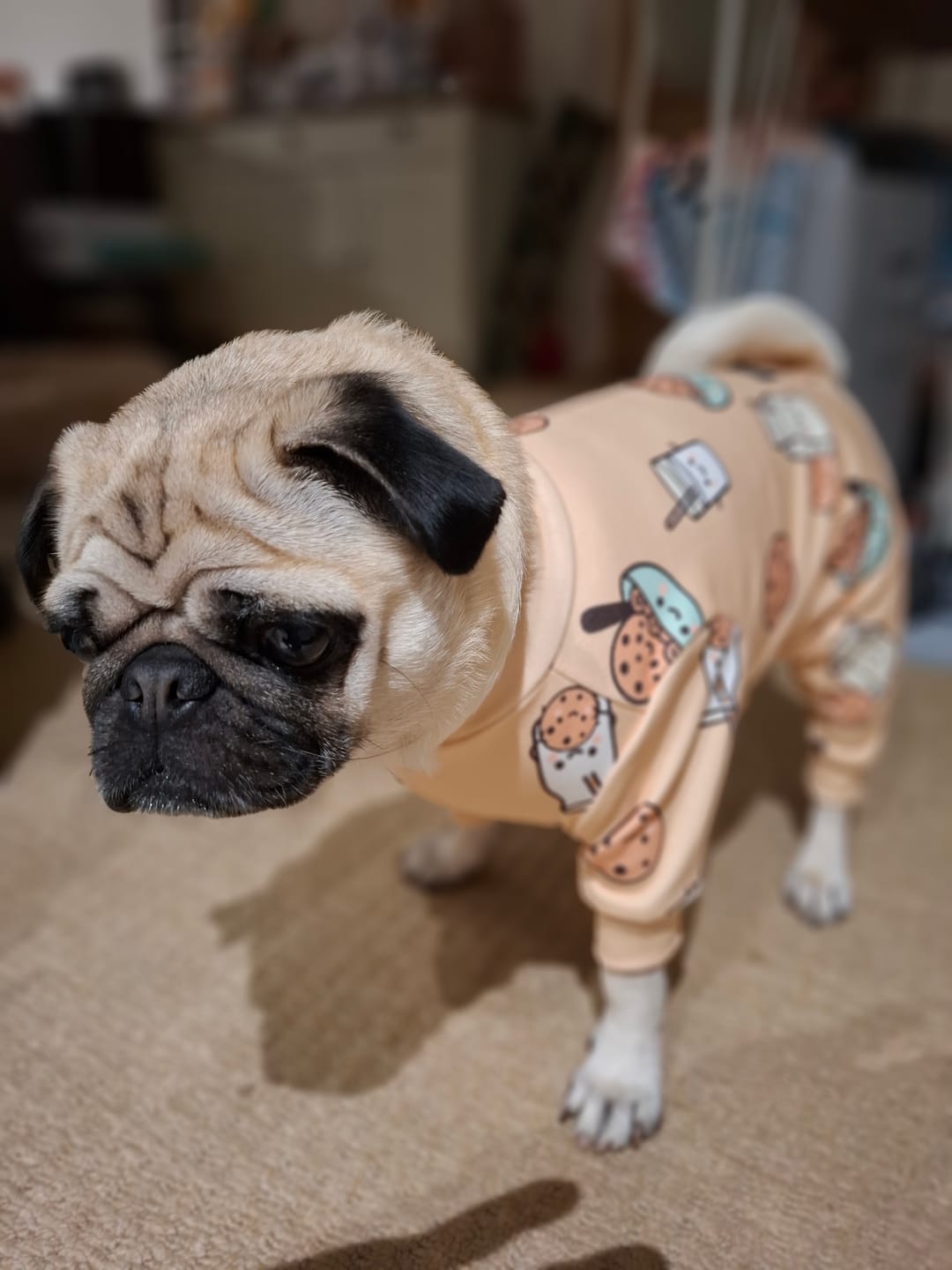 Customer photo review of Dog Pajama - Cookies and Milk