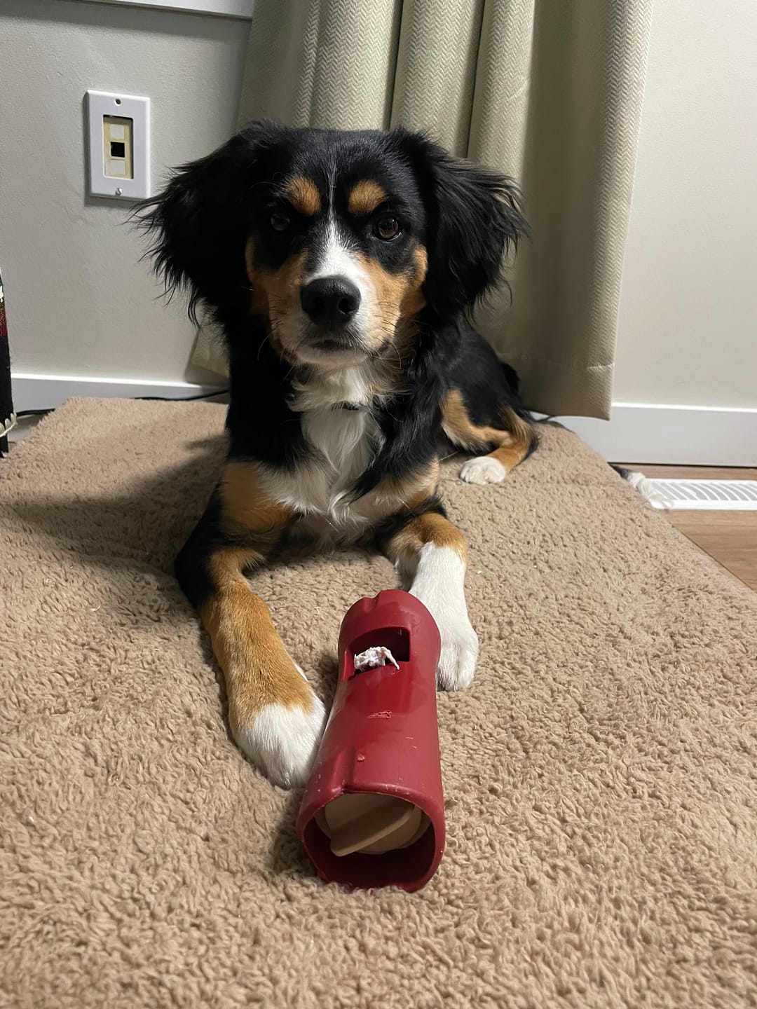 Customer photo review of Starter Pack