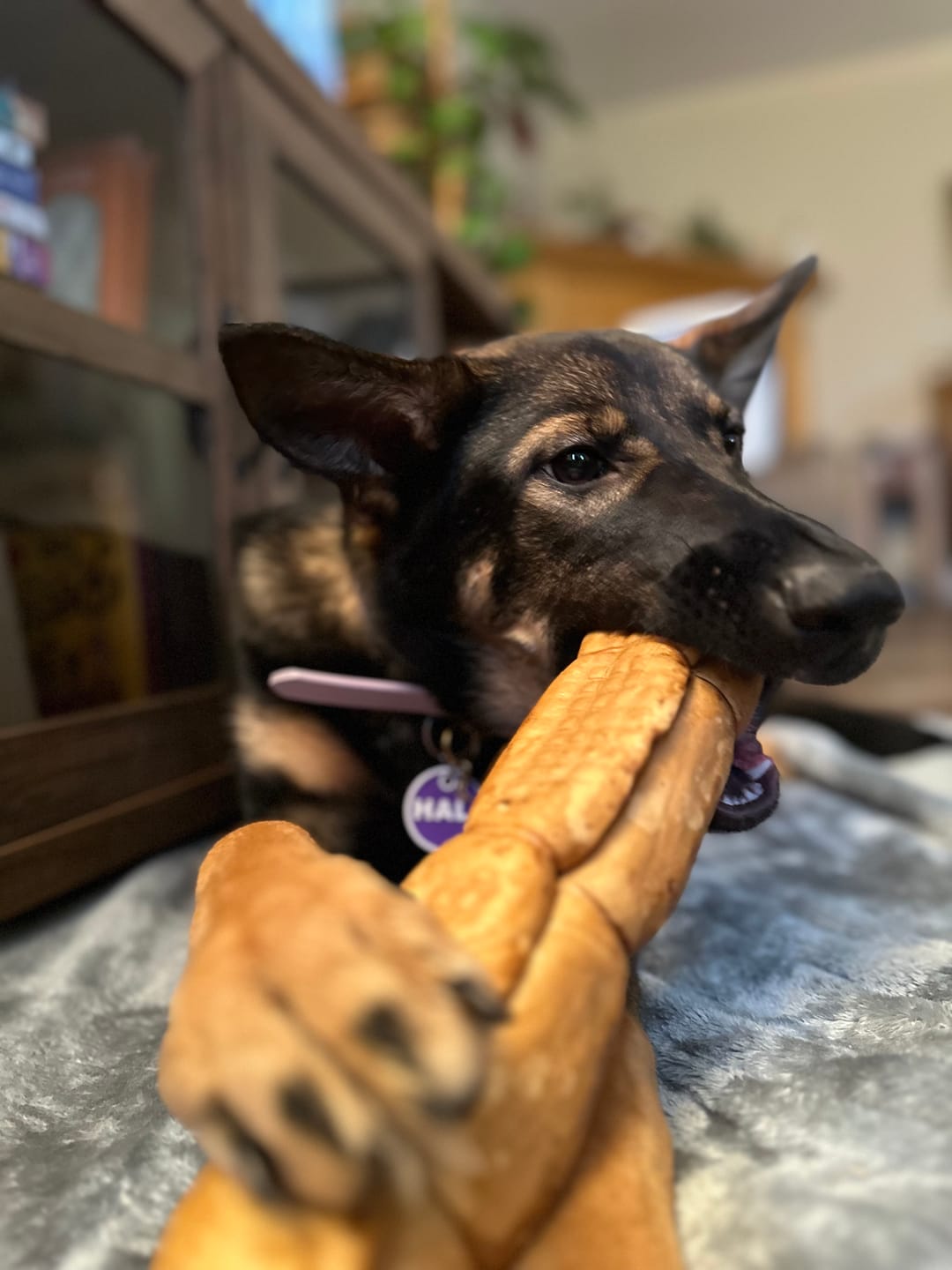 Customer photo review of 5-6 Inch Peanut Butter Cheek Roll