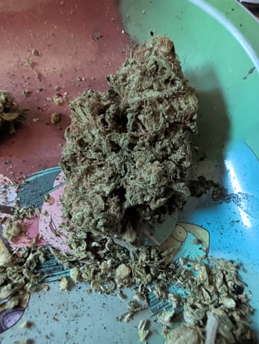 Customer photo review of Shipping Protection by Route