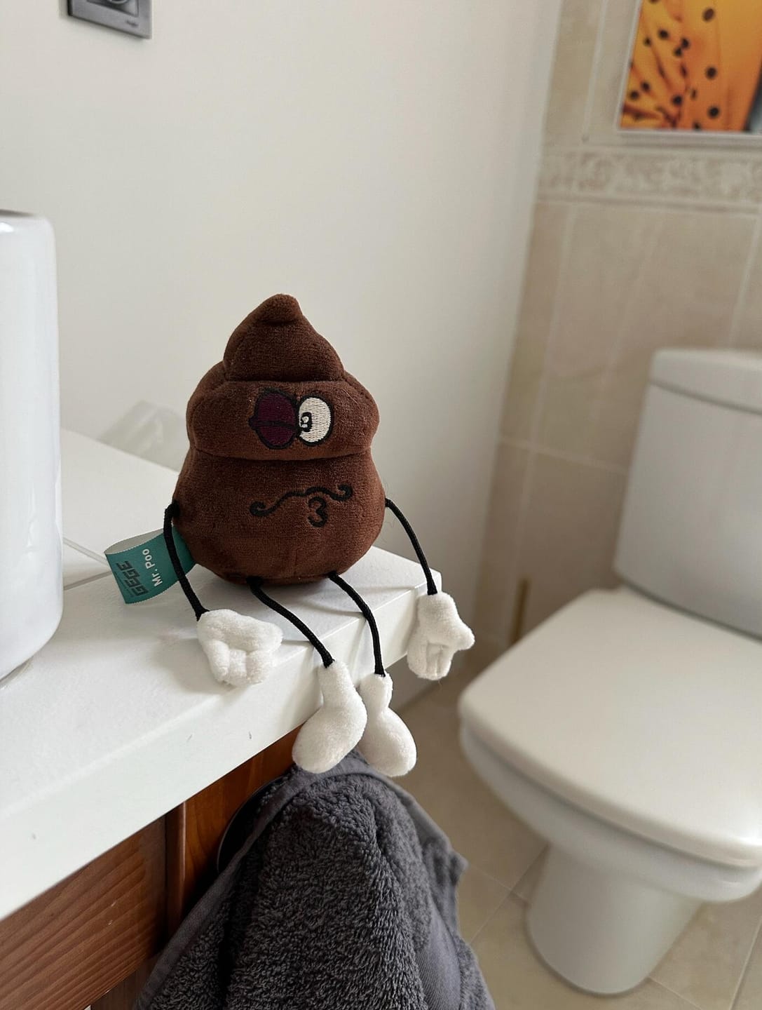 Customer photo review of MR. POO PLUSH TOY