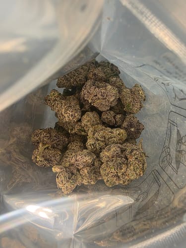 Customer photo review of Panama Red Flower Wholesale