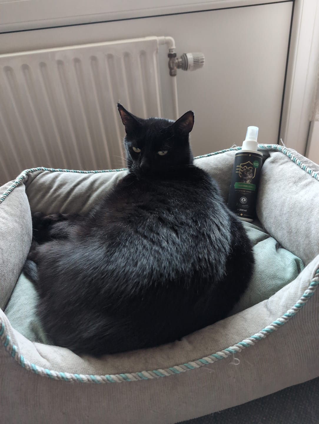 Customer photo review of Geruchsblocker Frischespray