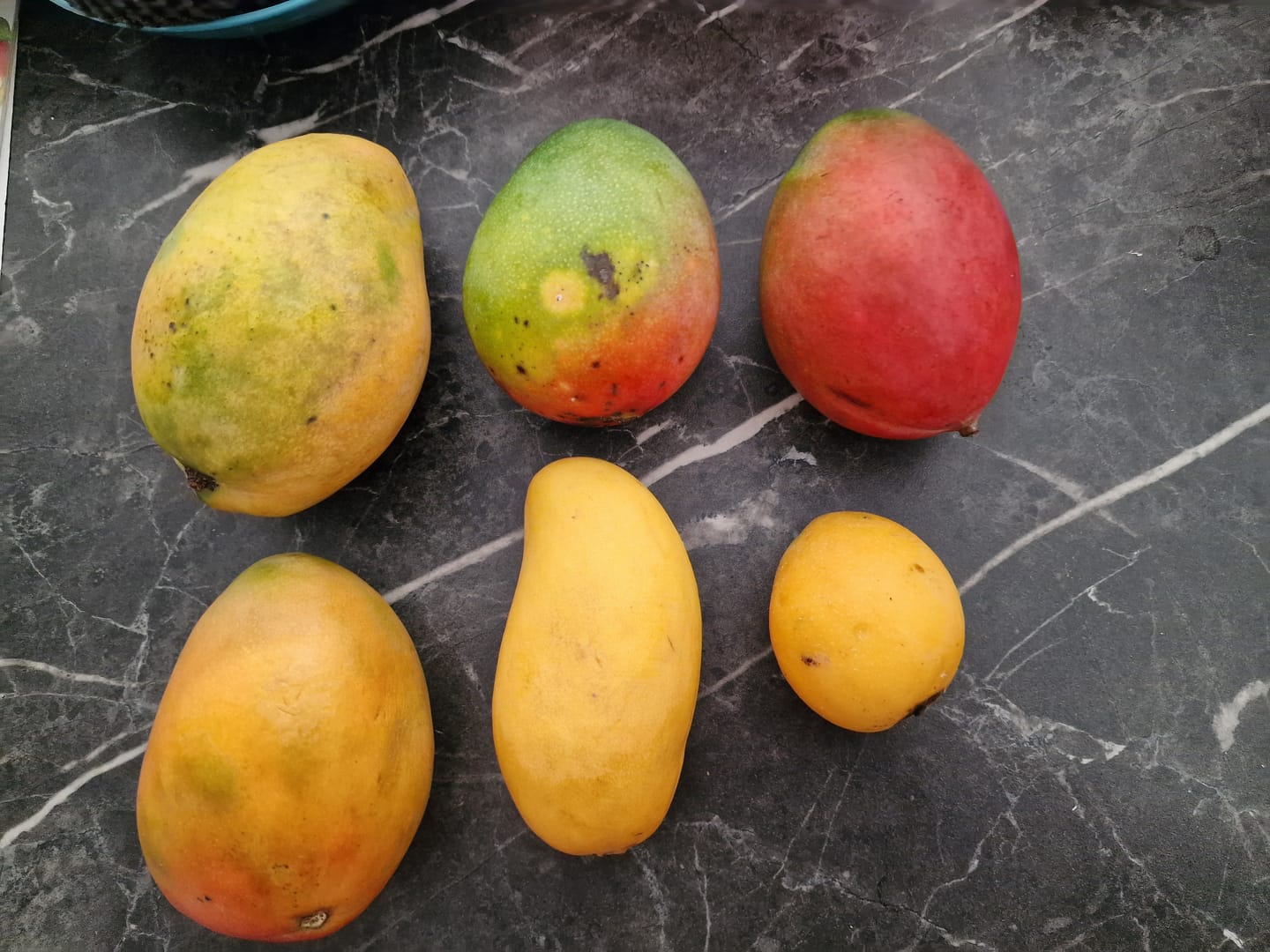 Customer photo review of Mango-Träume Mix-Box 2kg Sonderaktion %