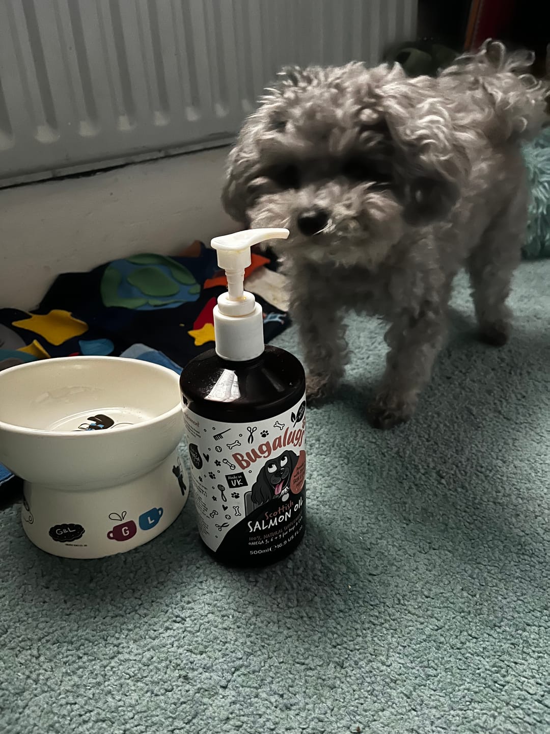 Customer photo review of Scottish Salmon Oil for Dogs & Cats