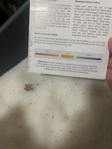 Customer photo review of 3 Month Supply - 1 Cat