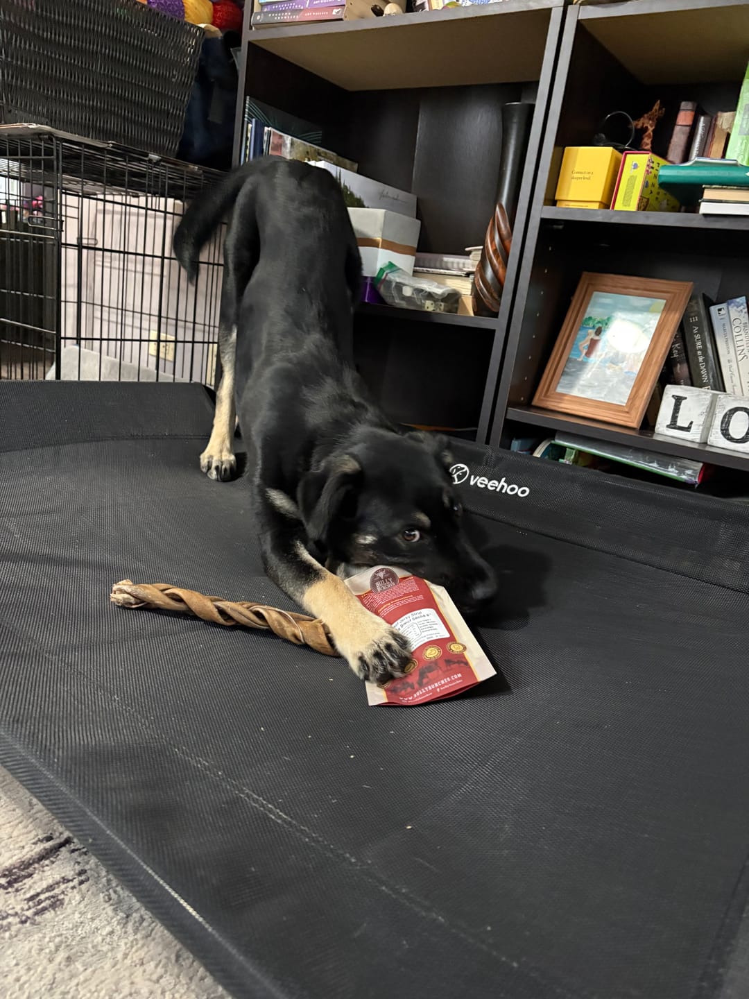Customer photo review of 6 Inch Beef Jerky Strip