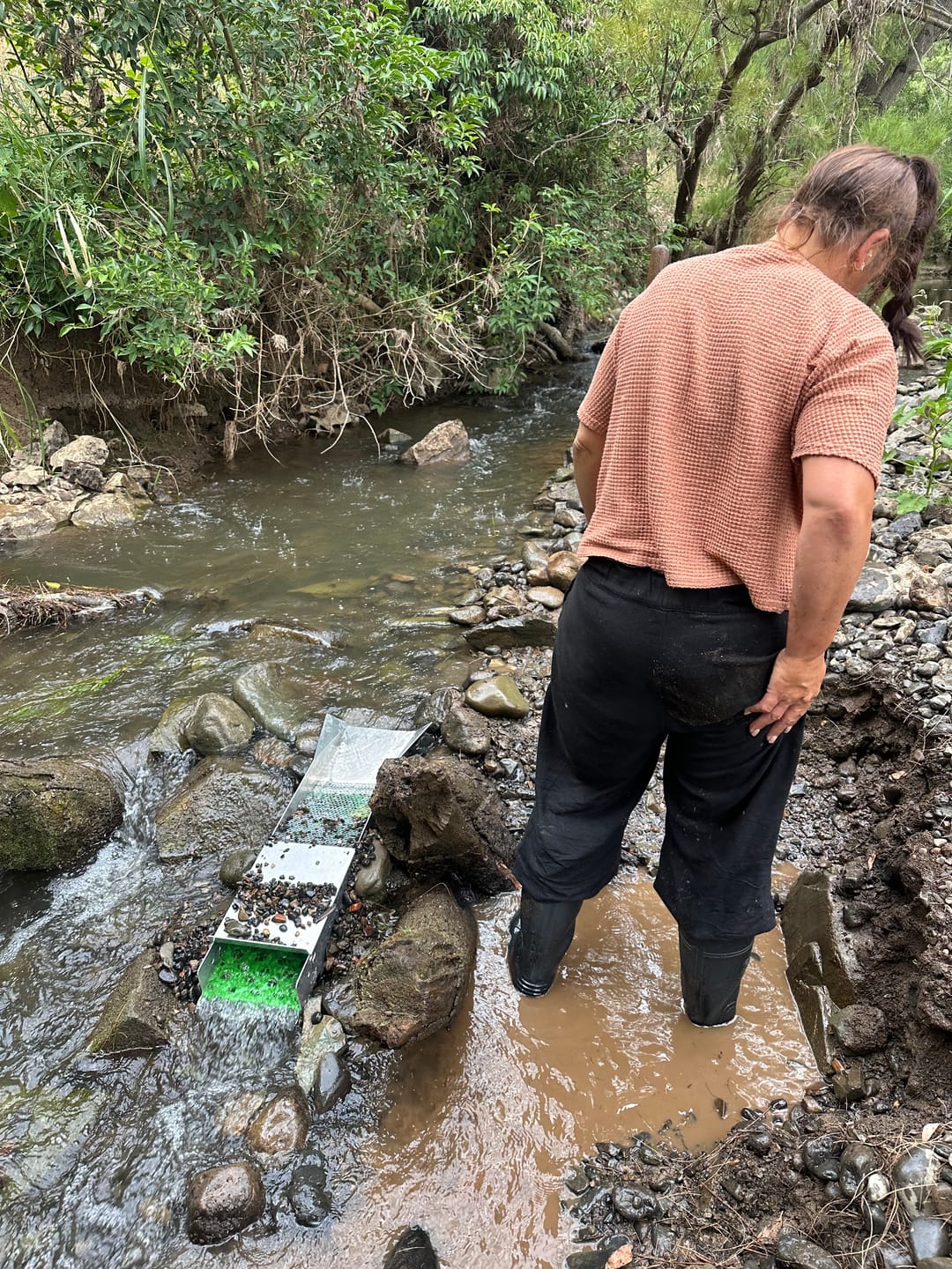 Customer photo review of 888 Gold Rat sluice - with Mini cell Dream mat