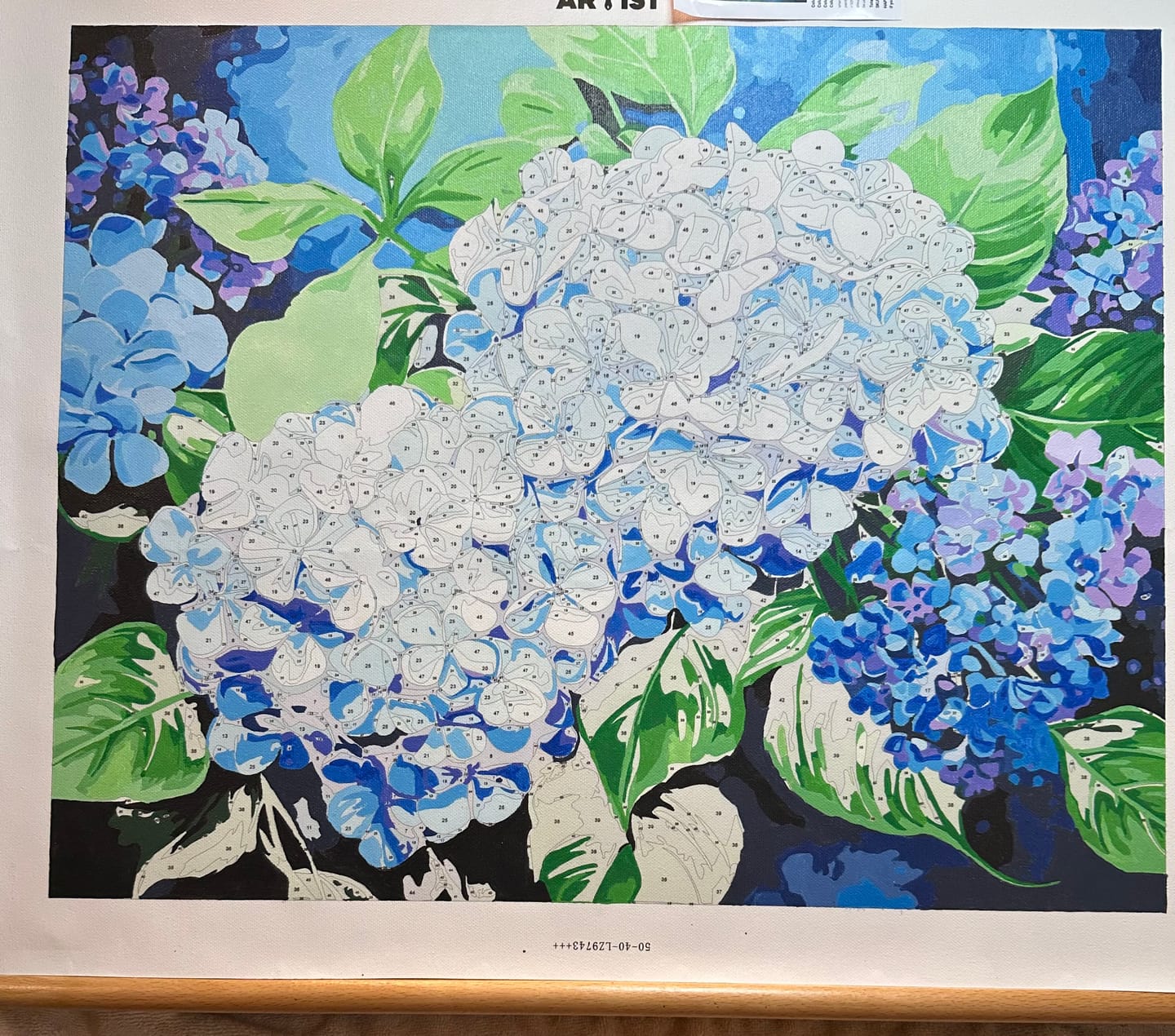 Customer photo review of Blue Hydrangea