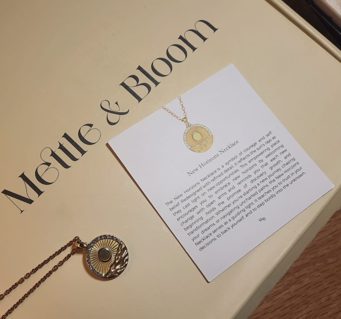 Customer photo review of New Horizons Necklace 2.0