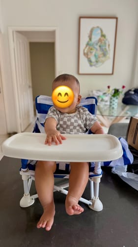 Customer photo review of Navy & White Baby Chair