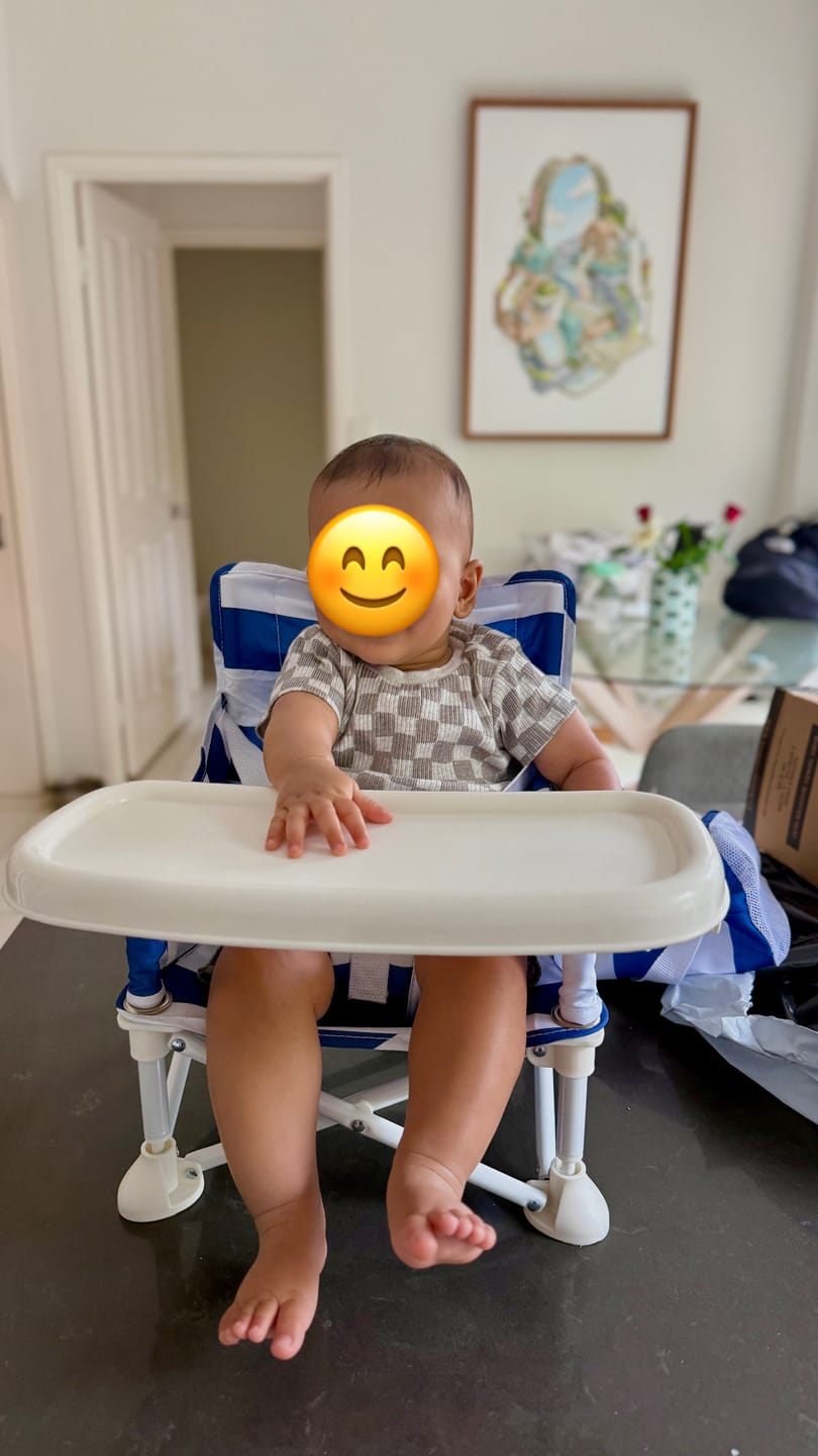 Customer photo review of Navy & White Baby Chair
