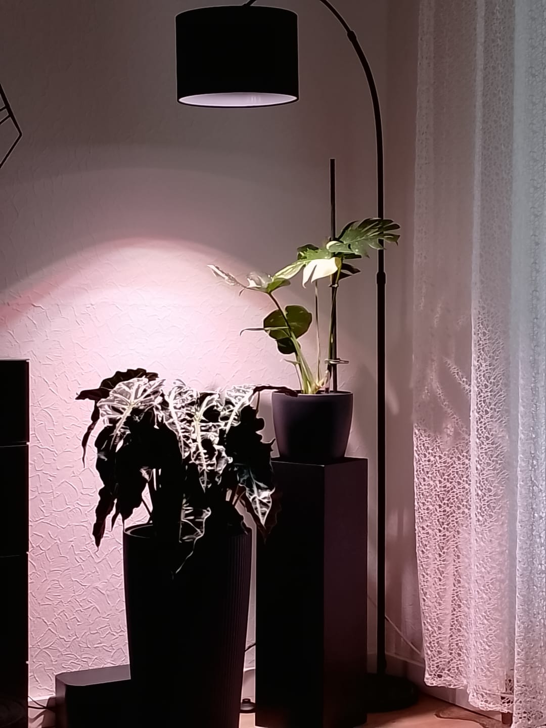Customer photo review of HPE - Hesi Houseplant Elixir