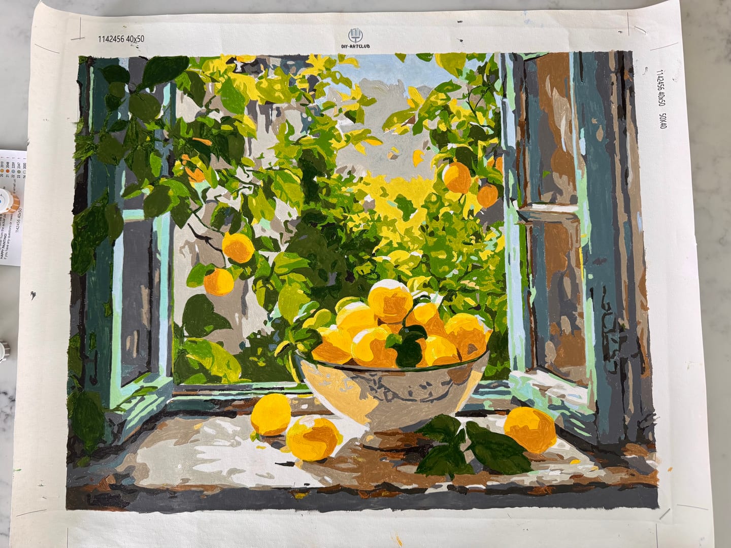 Customer photo review of Lemon Bowl at the Window | Paint by Number