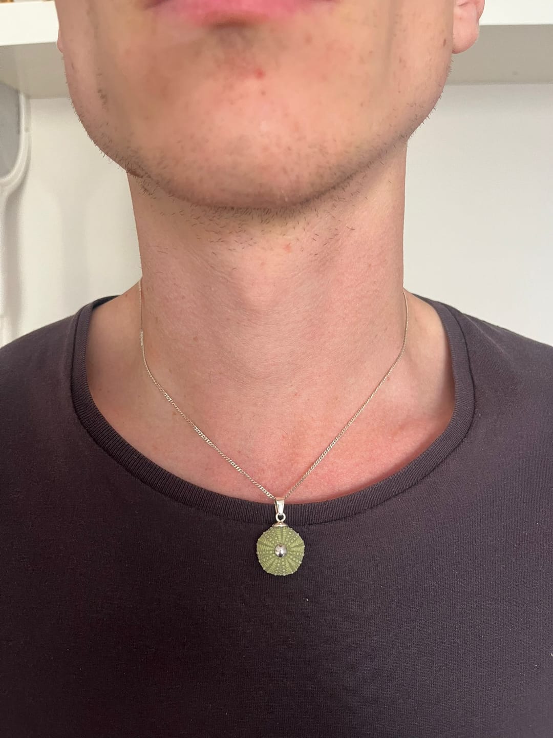 Customer photo review of Colgante Erizo Verde Natural Pequeño
