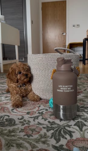 Customer photo review of The Bowl Bottle 2.0 | 3-in-1 Travel Bottle