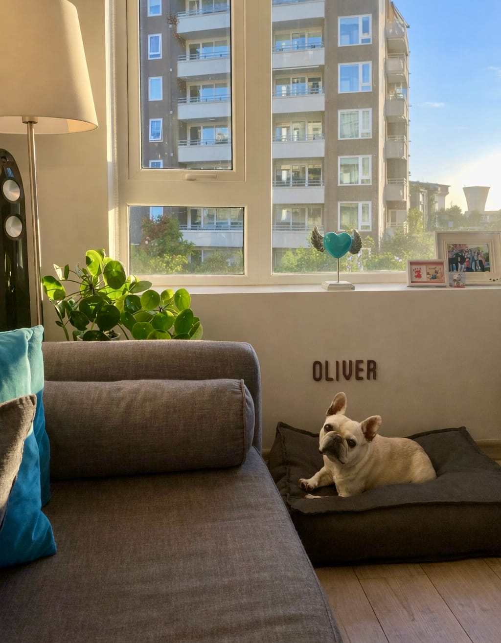 Customer photo review of Cama Cojín Gris