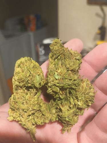 Customer photo review of Gorilla Glue THCA Flower