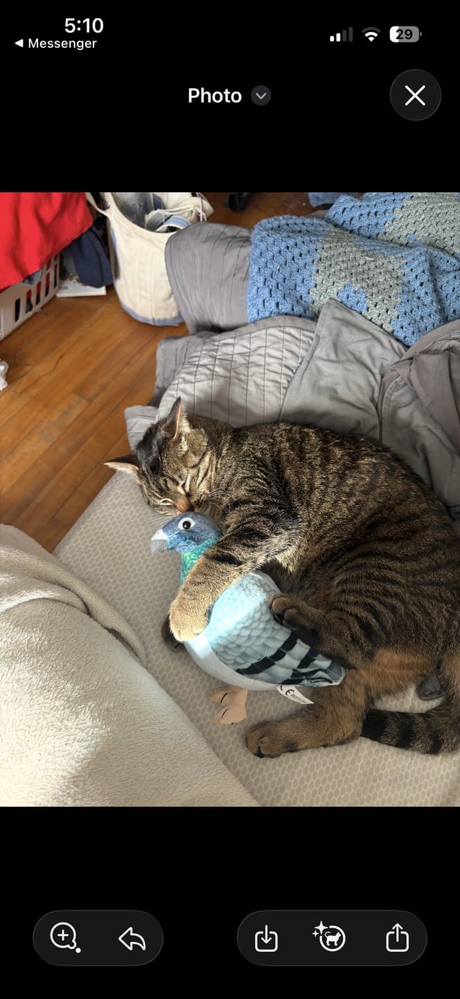 Customer photo review of Common Pigeon Bird Soft Stuffed Plush Toy