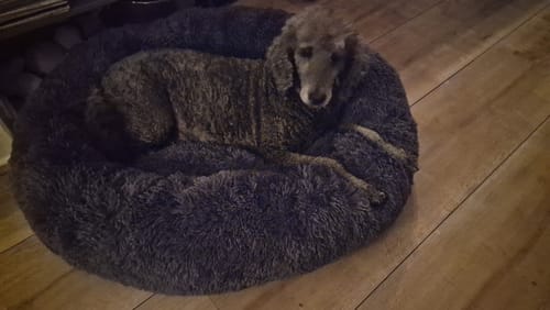 Customer photo review of CalmBed - Motverkar stress & hjälper mot ångest