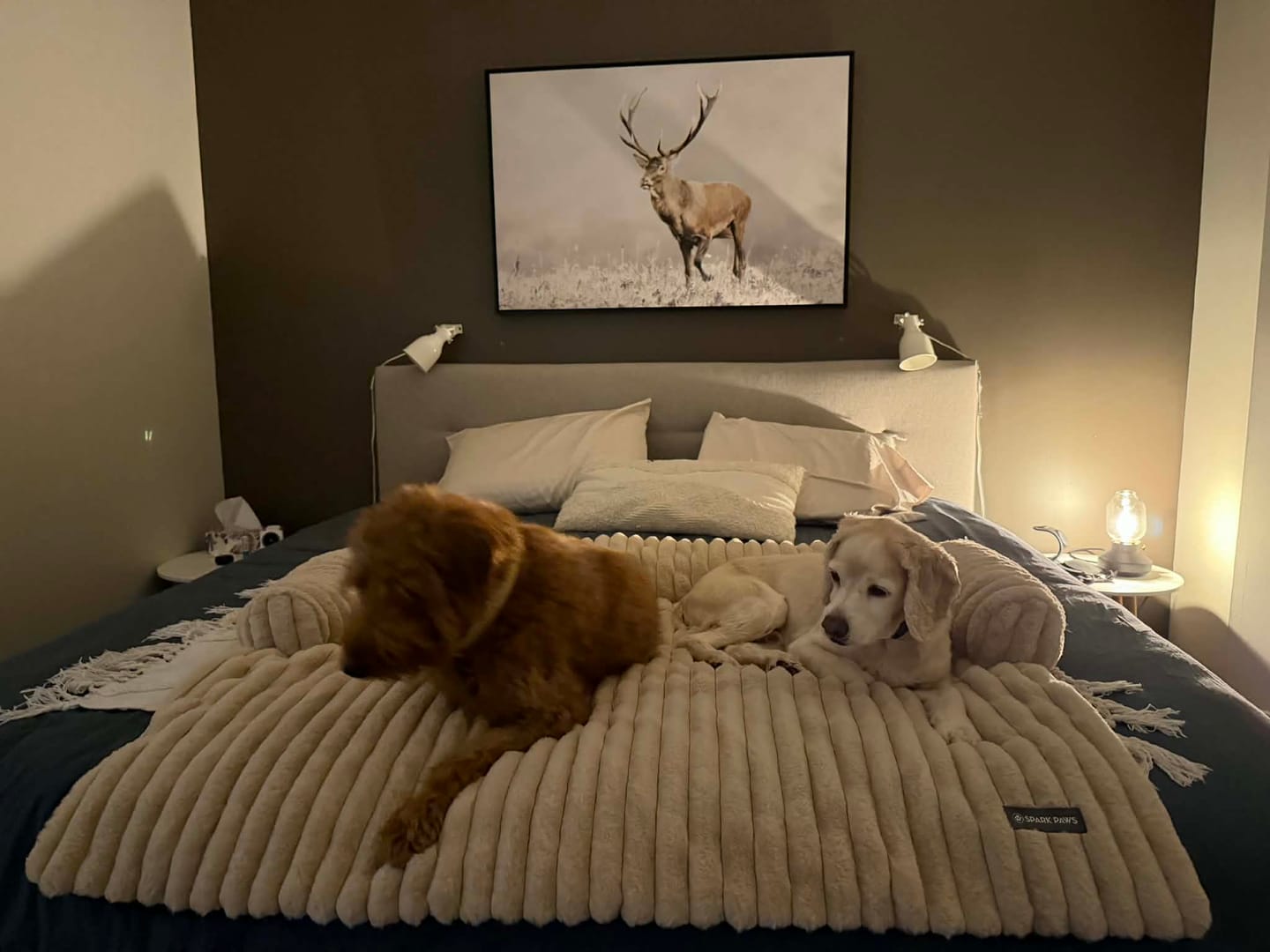 Customer photo review of Luxury Couch Cover Dog Bed - Beige
