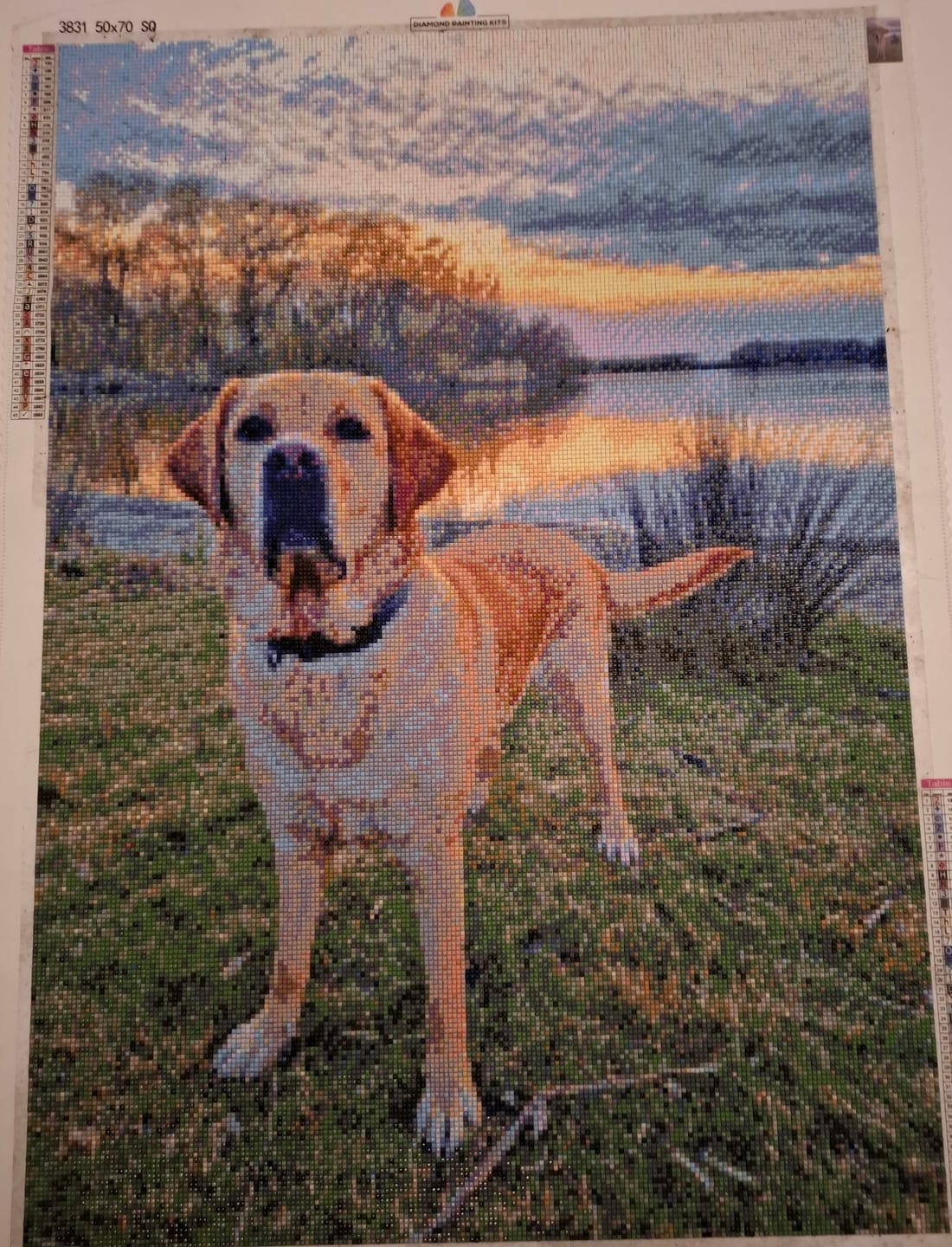 Customer photo review of Diamond Painting Eigen Foto (New)