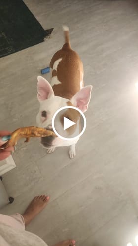 Customer video review of Hanna’s Smoked Chicken Feet