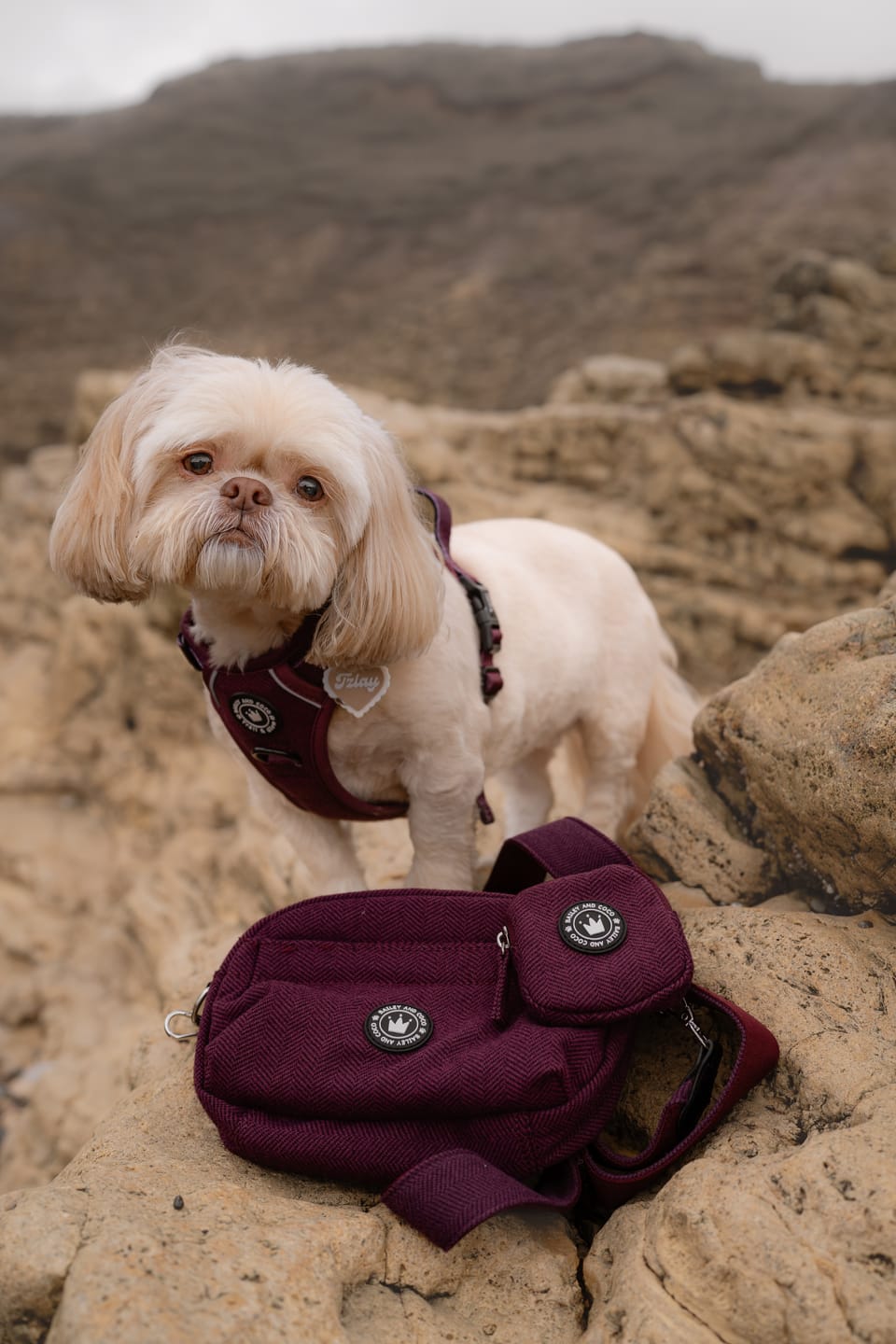 Customer photo review of Premium Mulberry Tweed Dog Walking Bag