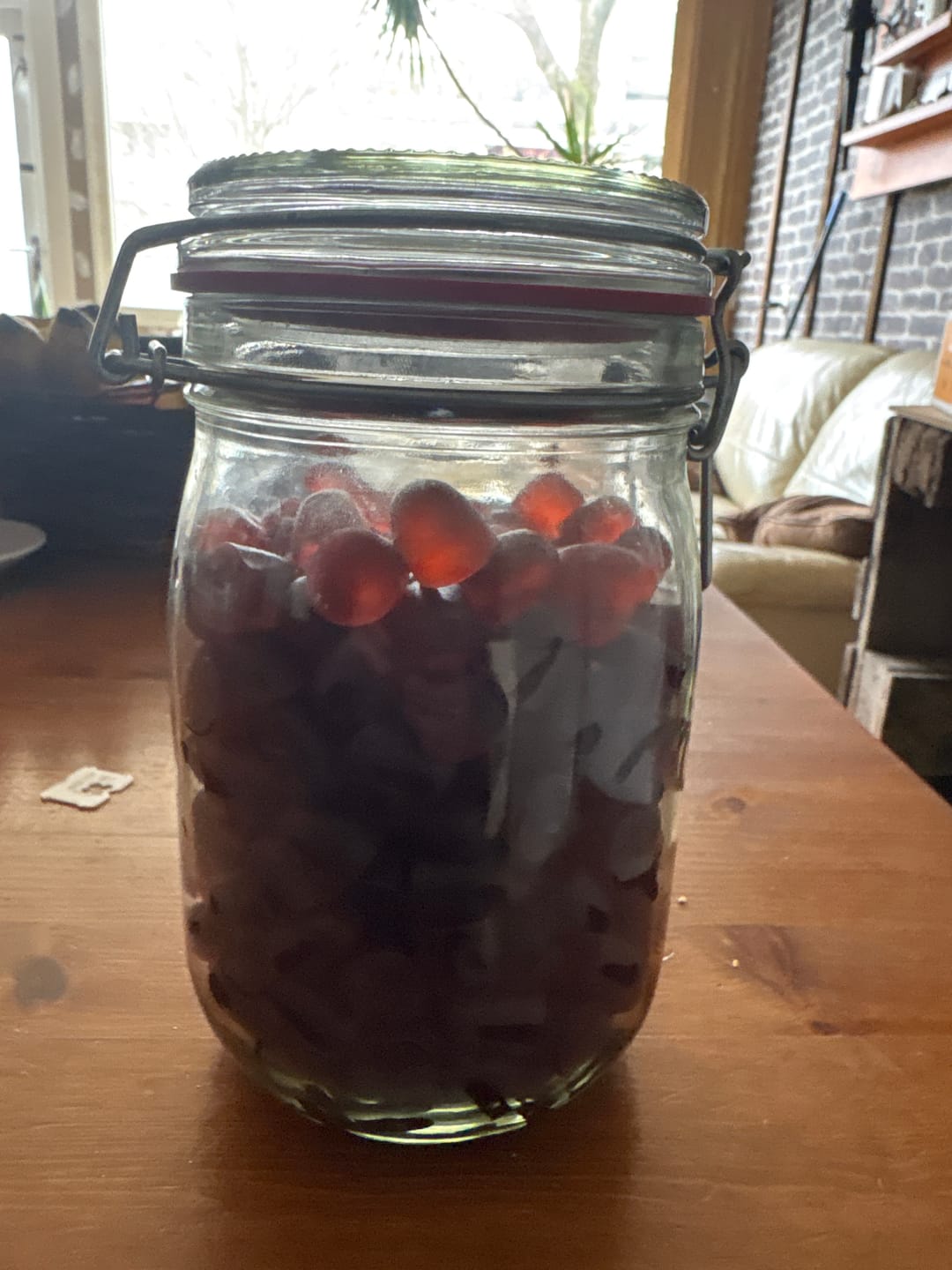 Customer photo review of Mushroom Gummies