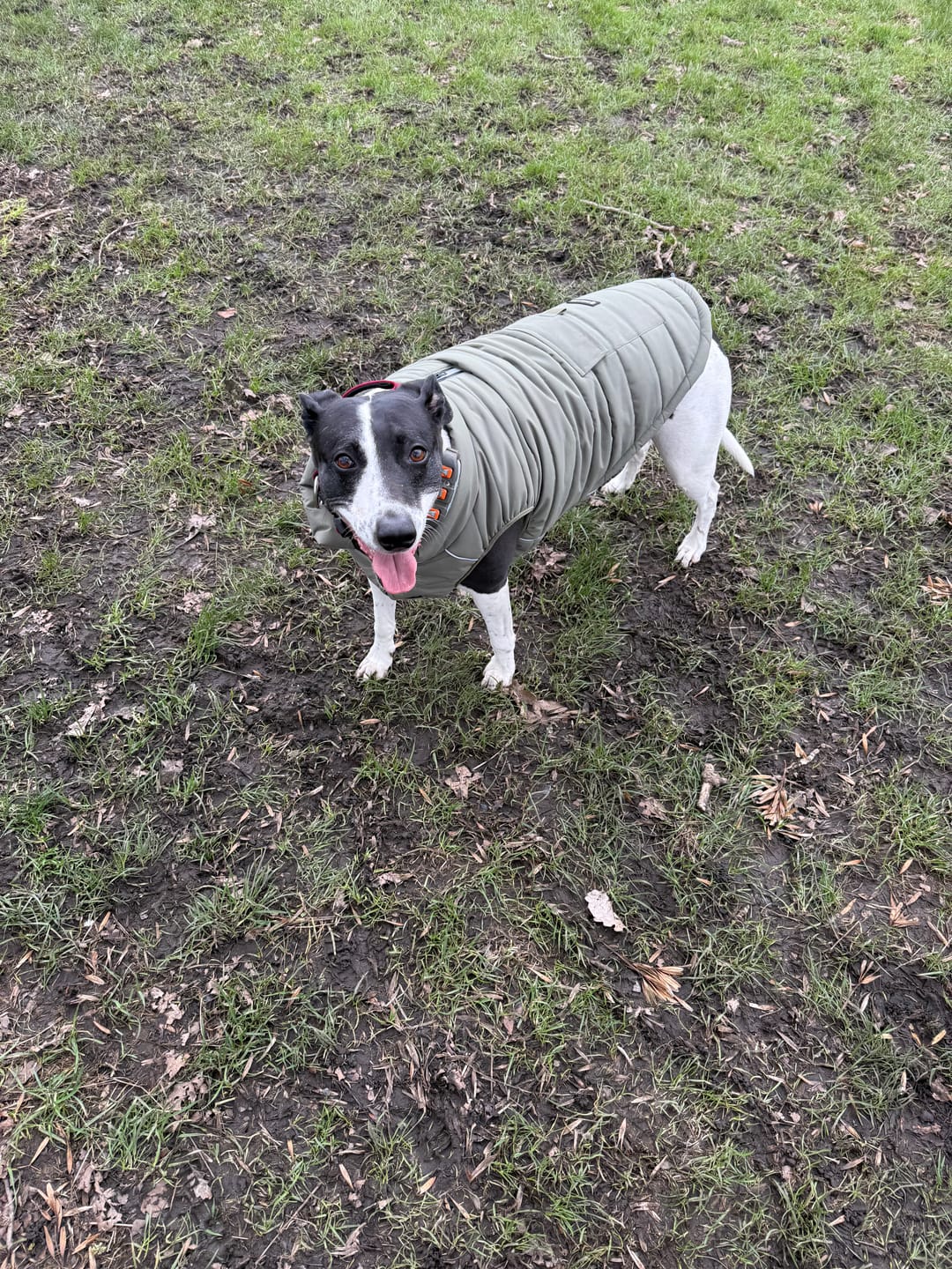 Customer photo review of WarmShield Water-Resistant Jackets