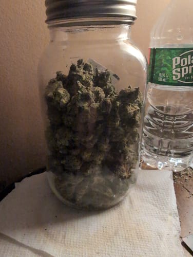 Customer photo review of Bulk THCA Flower Pounds