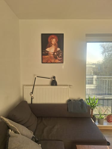 Customer photo review of Vanity | Frank Cowper | 1907