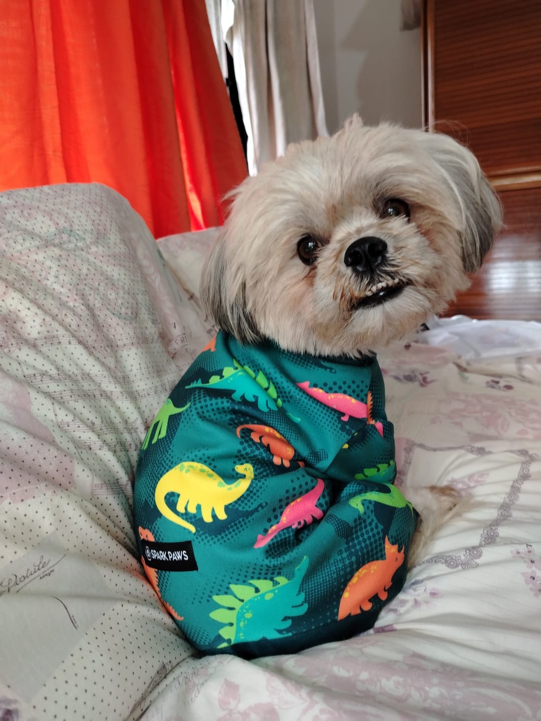Customer photo review of Dog Pajama - Dinosaurs