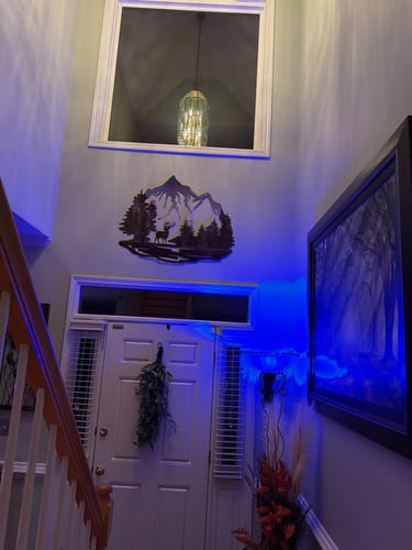 Customer photo review of Yosemite Night Deer - Metal Wall Art