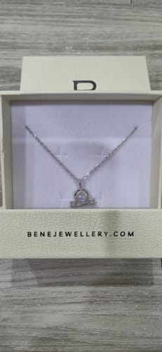 Customer photo review of Zodiac Necklace