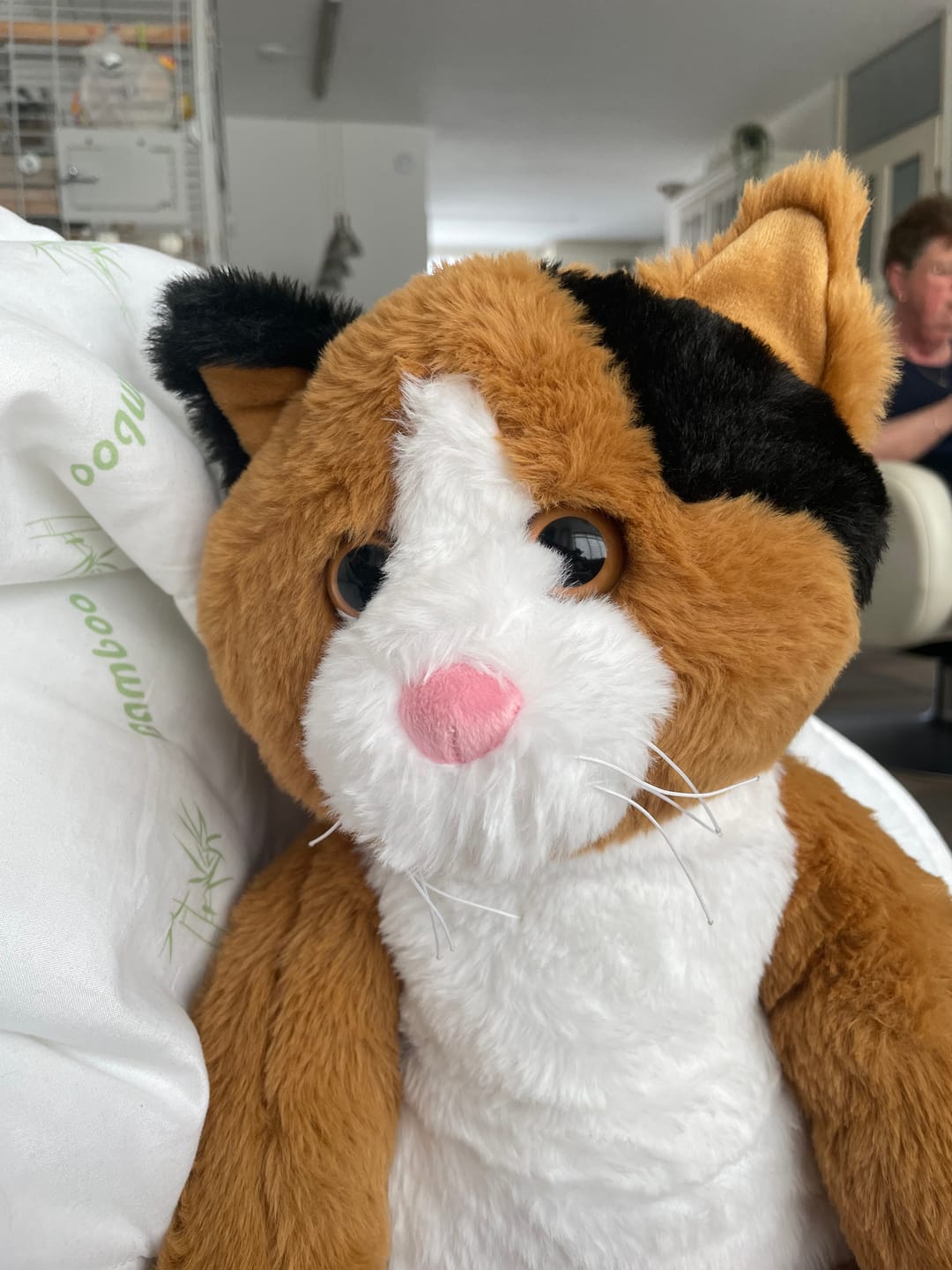 Customer photo review of Verzwaringsknuffel Kat 2,2 kg + Gratis Pittenzakje