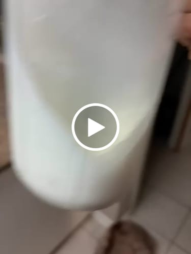 Customer video review of Organic Goat Milk Powder