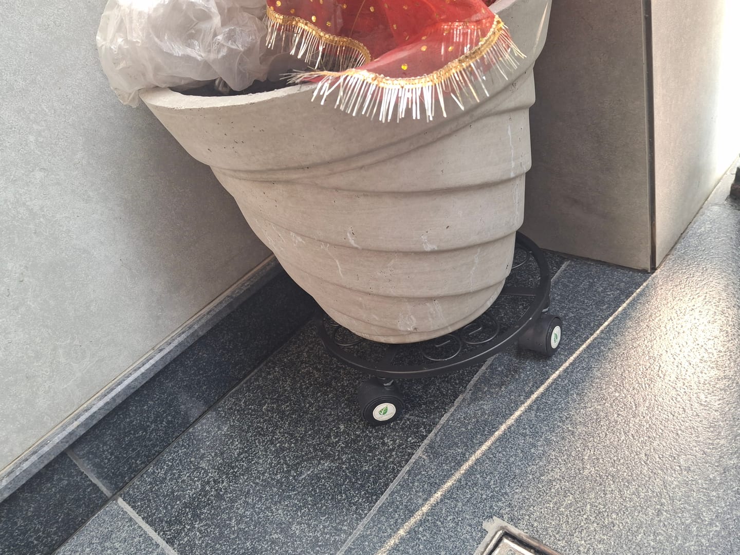 Customer photo review of TryGreen Luna Wheel Rolling Plant Stand for Planters