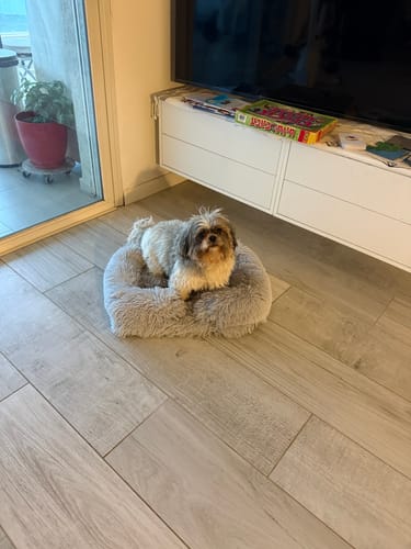 Customer photo review of המיטה של בונו - מיטה אורתופדית